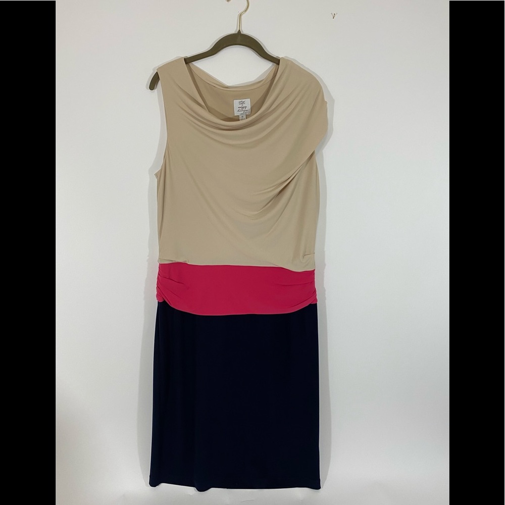 Suzi Chin Maggie Boutique Blue Pink Tan  Sz 16